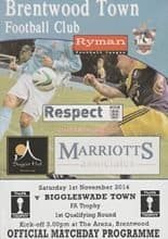Brentwood Town v Biggleswade Town 01-Nov-2014