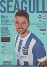 Brighton and Hove Albion v Birmingham City 21-Feb-2015