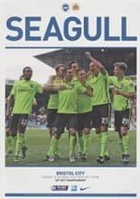 Brighton & Hove Albion v Bristol City 20-Oct-2015
