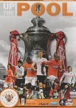 Blackpool v Fulham 15-Jan-2013