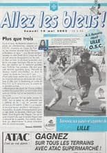 Auxerre v Lille 10-May-2003