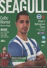 Brighton and Hove Albion v Nottingham Forest 07-Feb-2015