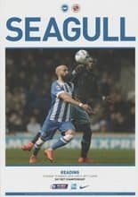 Brighton & Hove Albion v Reading 15-Mar-2016
