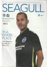 Brighton & Hove Albion v Blackburn Rovers 01-Apr-2017