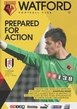 Watford v Fulham 03-Mar-2015