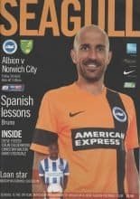 Brighton & Hove Albion v Norwich City 03-Apr-2015