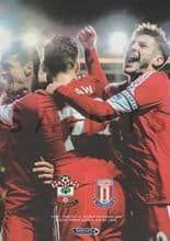 Southampton v Stoke City 08-Feb-2014