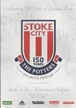 Stoke City v Tottenham Hotspur 12-May-2013