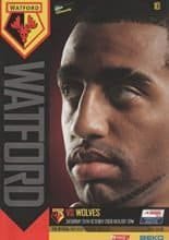 Watford v Wolverhampton Wanderers 25-Oct-2008