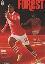 Nottingham Forest v Crystal Palace 18-Dec-2010