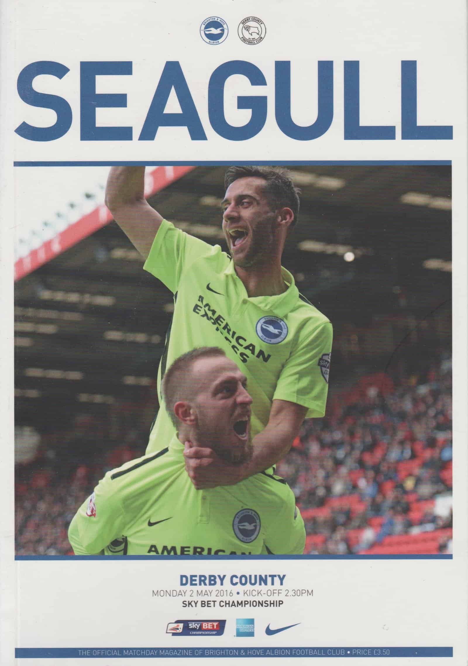 Brighton and Hove Albion v Derby County 02-May-2016