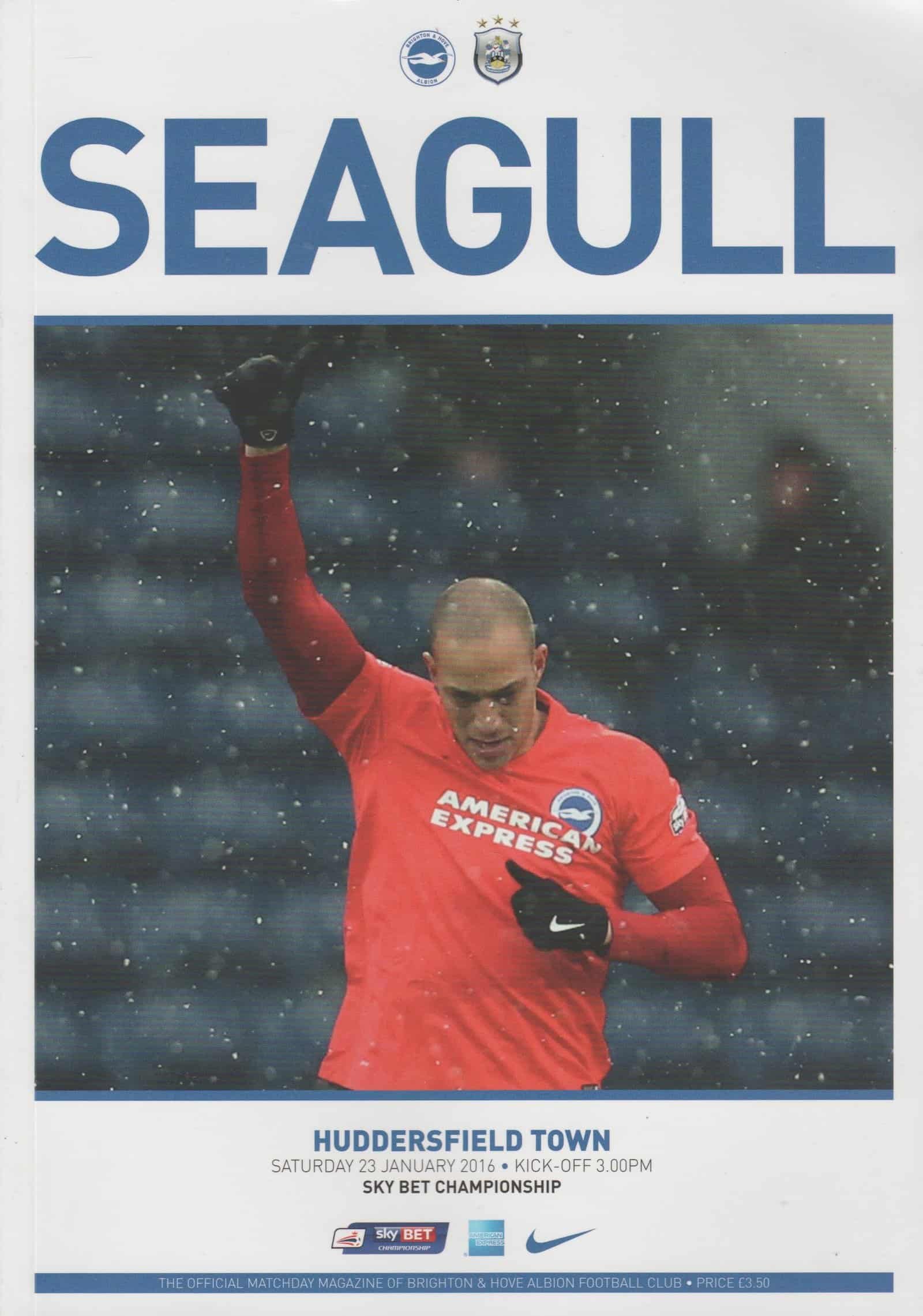 Brighton and Hove Albion v Huddersfield Town 23-Jan-2016