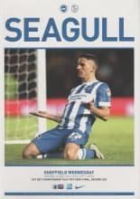 Brighton & Hove Albion v Sheffield Wednesday 16-May-2016