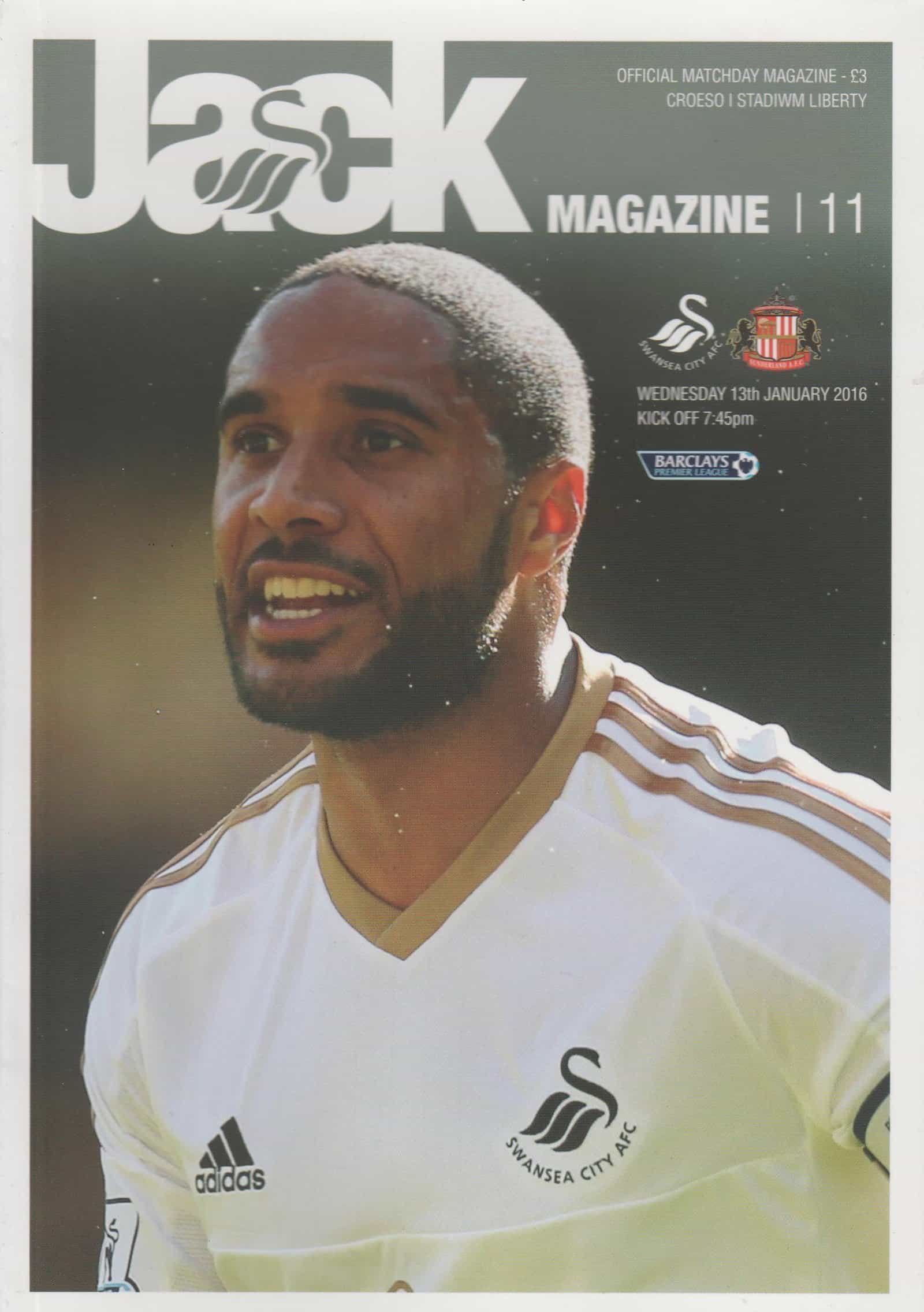 Swansea City v Sunderland 13-Jan-2016