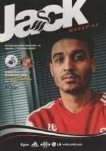 Swansea City v Sunderland  07-Feb-2015