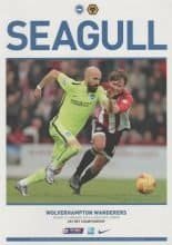 Brighton and Hove Albion v Wolverhampton Wanderers 01-Jan-2016