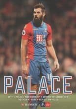 Crystal Palace v Manchester City  28-Jan-2017