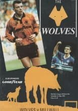 Wolverhampton Wanderers v Millwall  01-May-1993