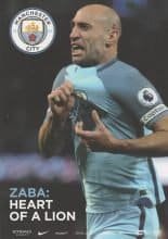 Manchester City v West Bromwich Albion 16-May-2017