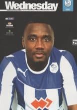 Sheffield Wednesday v Brighton & Hove Albion 25-Mar-2014
