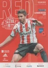 Sunderland v Manchester City 10-Nov-2013