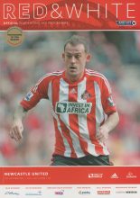 Sunderland v Newcastle United 21-Oct-2012