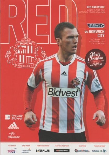 Sunderland v Norwich City 21-Dec-2013