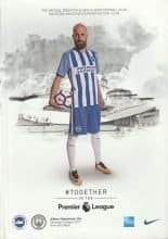 Brighton & Hove Albion v Manchester City 12-Aug-2017