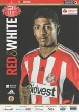 Sunderland v Arsenal  25-Oct-2014