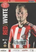 Sunderland v Aston Villa 14-Mar-2015