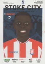 Stoke City v Brighton and Hove Albion  10-Feb-2018