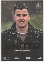 Newcastle United v Brighton and Hove Albion  30-Dec-2017