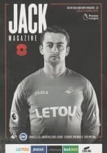 Swansea City v Brighton and Hove Albion  04-Nov-2017