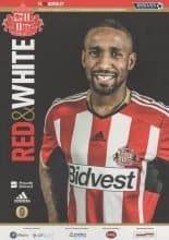 Sunderland v Burnley 31-Jan-2015