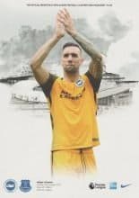 Brighton & Hove Albion v Everton  15-Oct-2017