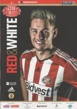 Sunderland v Manchester City 03-Dec-2014