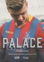 Crystal Palace v Tottenham Hotspur 25-Feb-2018