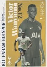 Tottenham Hotspur v Everton 13-Jan-2018