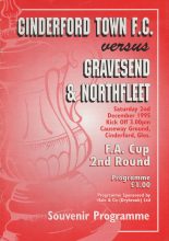 Cinderford Town v Gravesend & Northfleet  02-Dec-1995