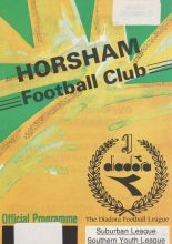 Horsham v Wimbledon 29-Jul-1993