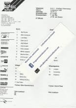 NEC Nijmegen v Sheffield Wednesday  03-Aug-1996
