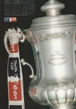 Chelsea v Everton 30-May-2009