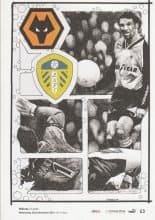 Wolverhampton Wanderers v Leeds United 22-Nov-2017