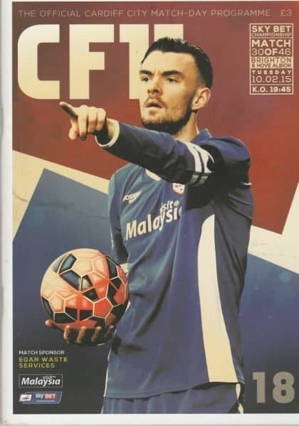Cardiff City v Brighton & Hove Albion  10-Feb-2015