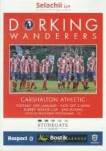 Dorking Wanderers v Carshalton Athletic  16-Jan-2018