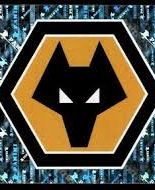 Wolverhampton Wanderers badge- 608