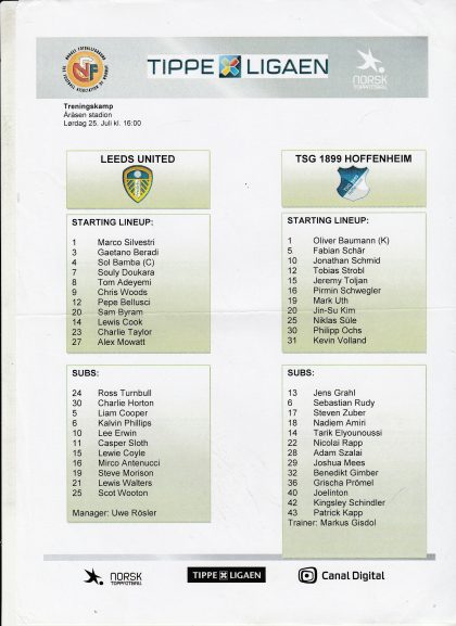 Leeds United v TSG 1899 Hoffenheim 25-Jul-2015