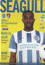 Brighton and Hove Albion v AFC Bournemouth 10-Apr-2015