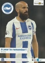 Brighton & Hove Albion v Everton 29-Dec-2018