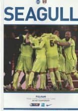 Brighton & Hove Albion v Fulham 15-Apr-2016